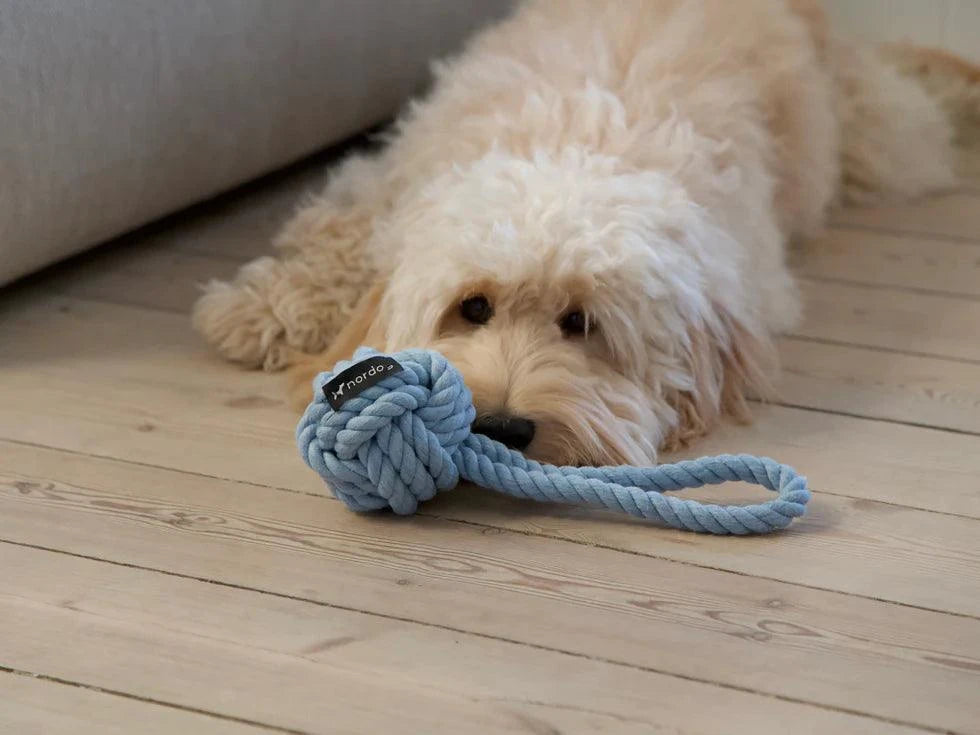 Dragleksak i slitstarkt material