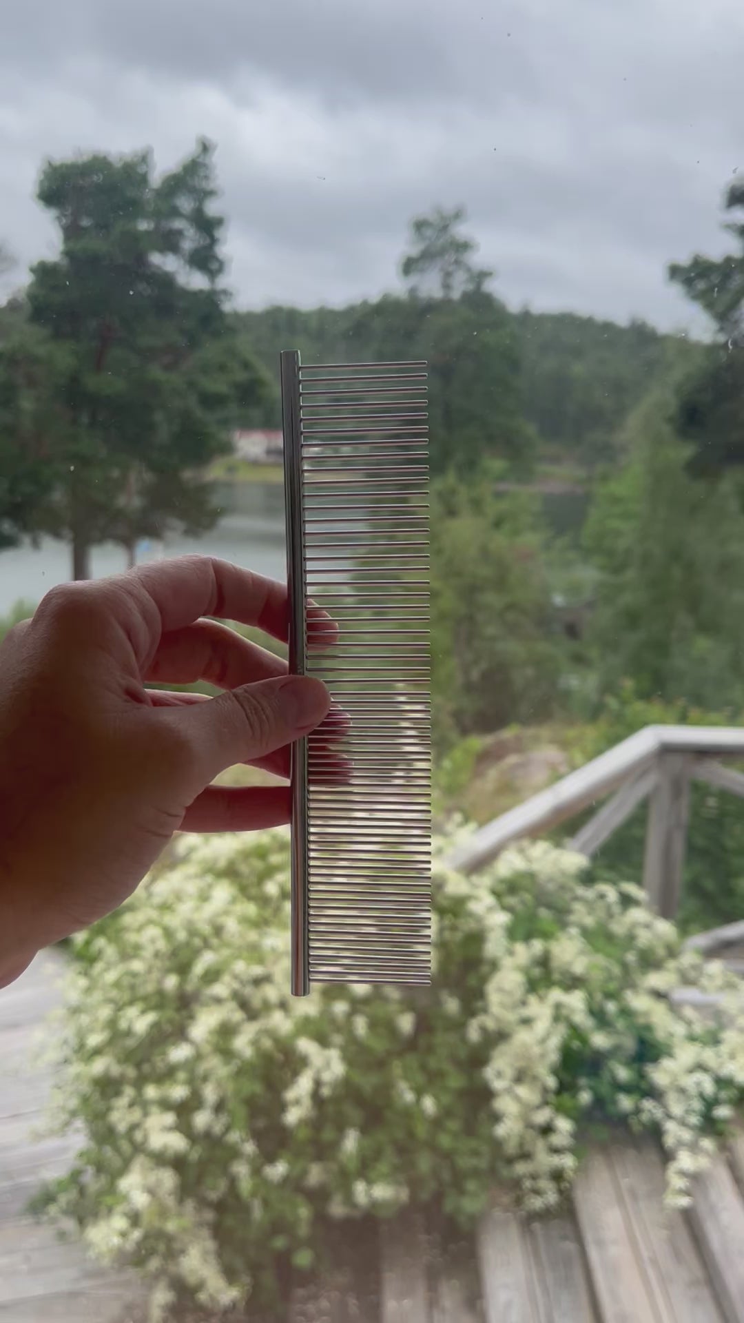 Lång taggkamför hundar från Artero