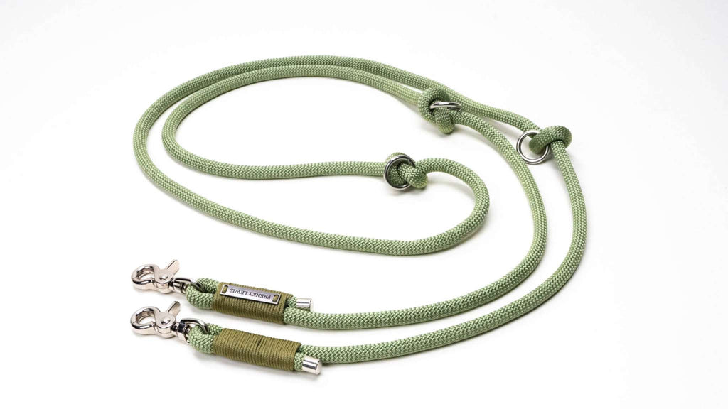 Exklusivt hundkoppel handsfree