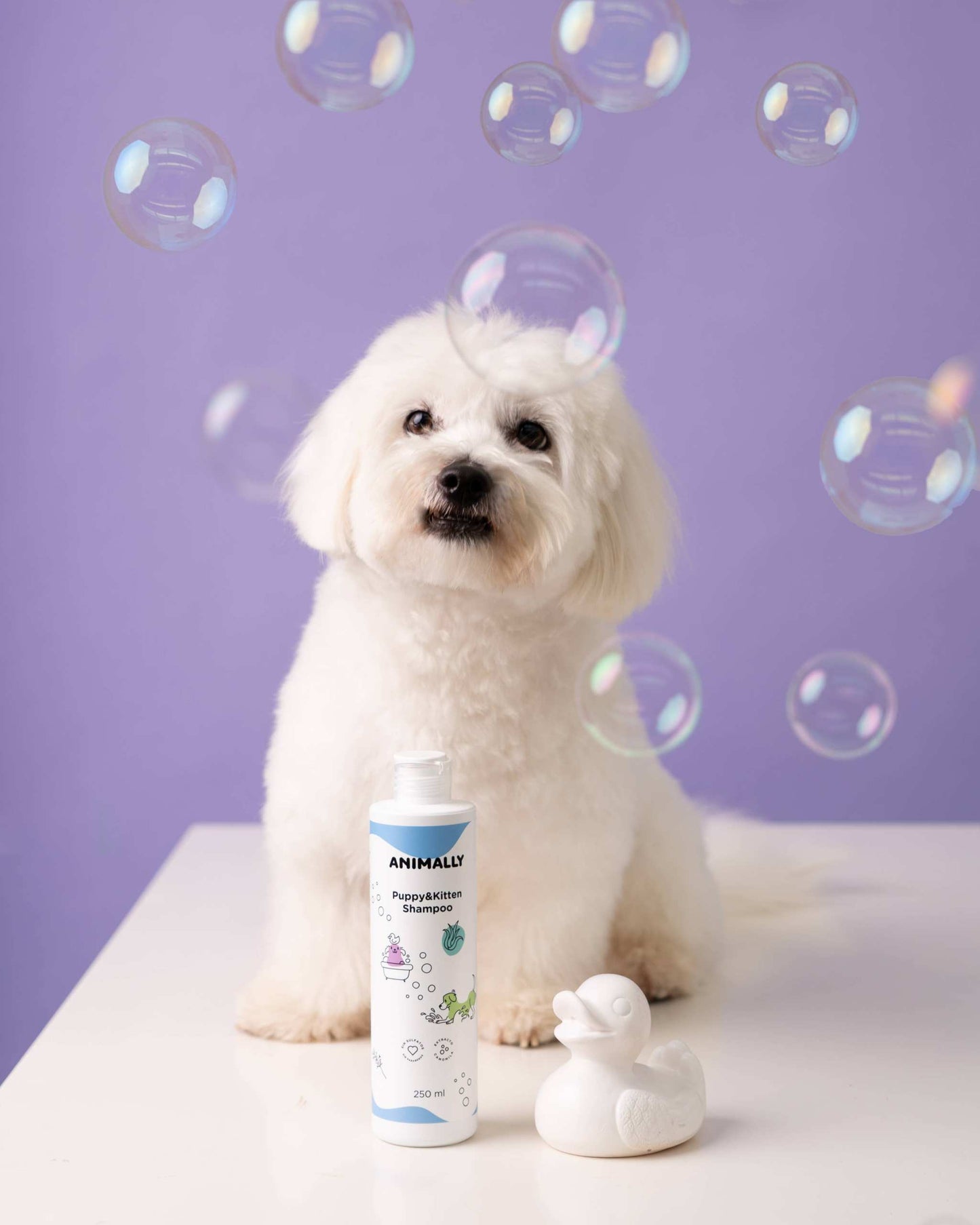 Sulfatfritt schampo för hundar