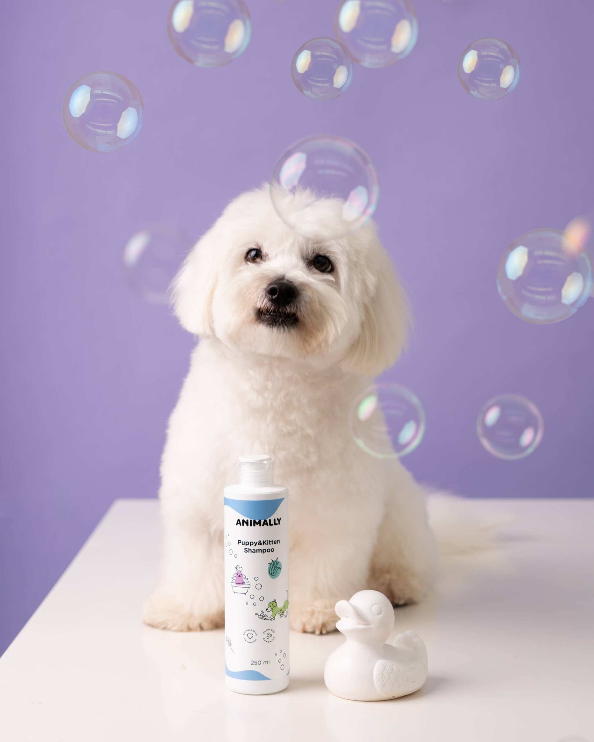 Sulfatfritt schampo för hundar