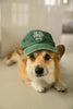 Dog vibes keps i hög kvalitet för hundägare - Vintage green