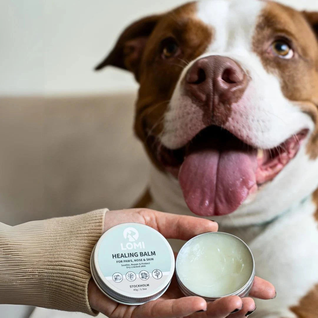 LOMI Tassalva för hund och katt av naturliga ingredienser, 60ml