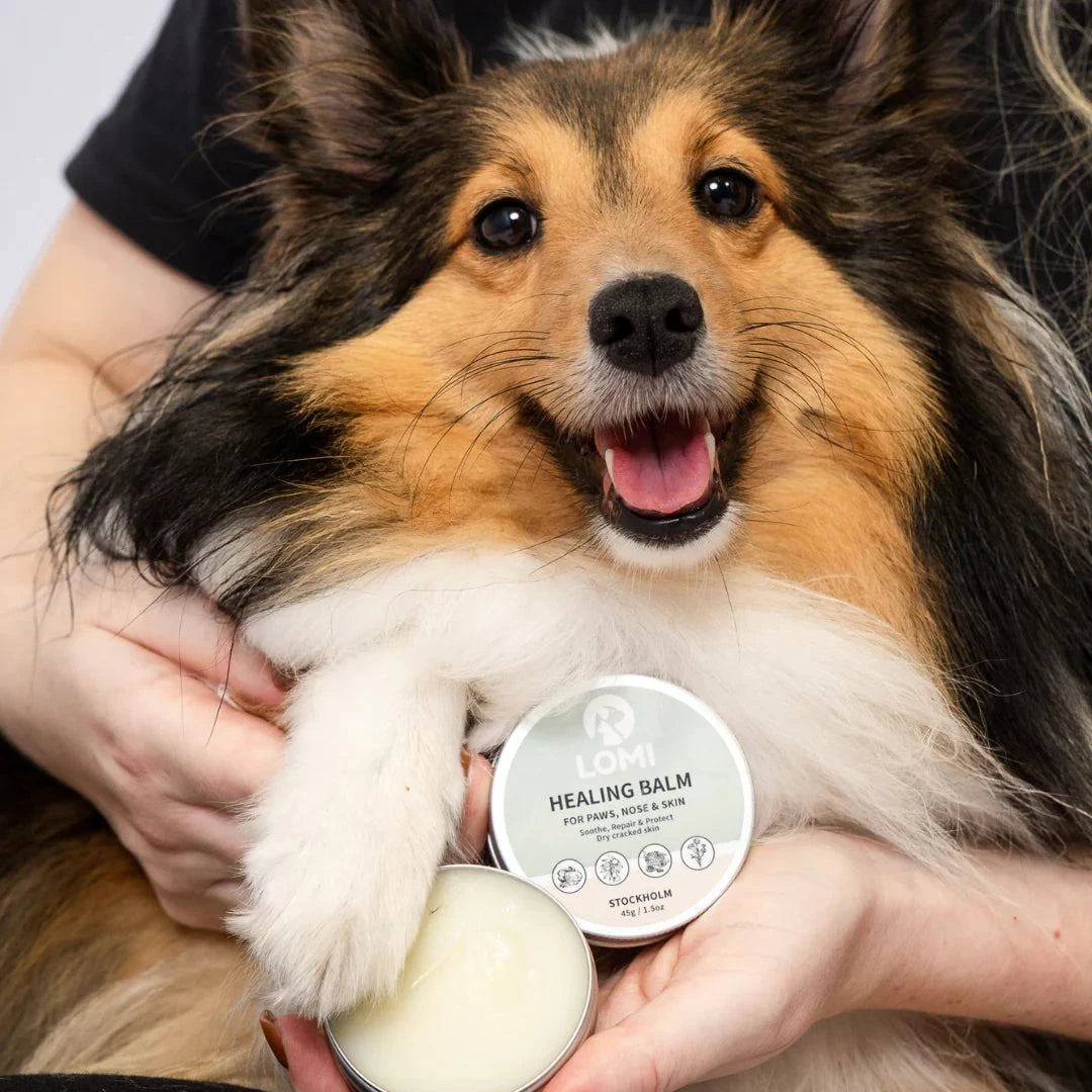 LOMI Tassalva för hund och katt av naturliga ingredienser, 60ml