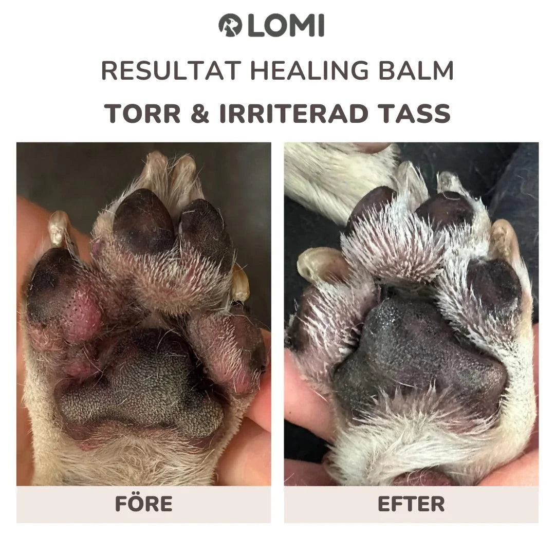 LOMI Tassalva för hund och katt av naturliga ingredienser, 60ml