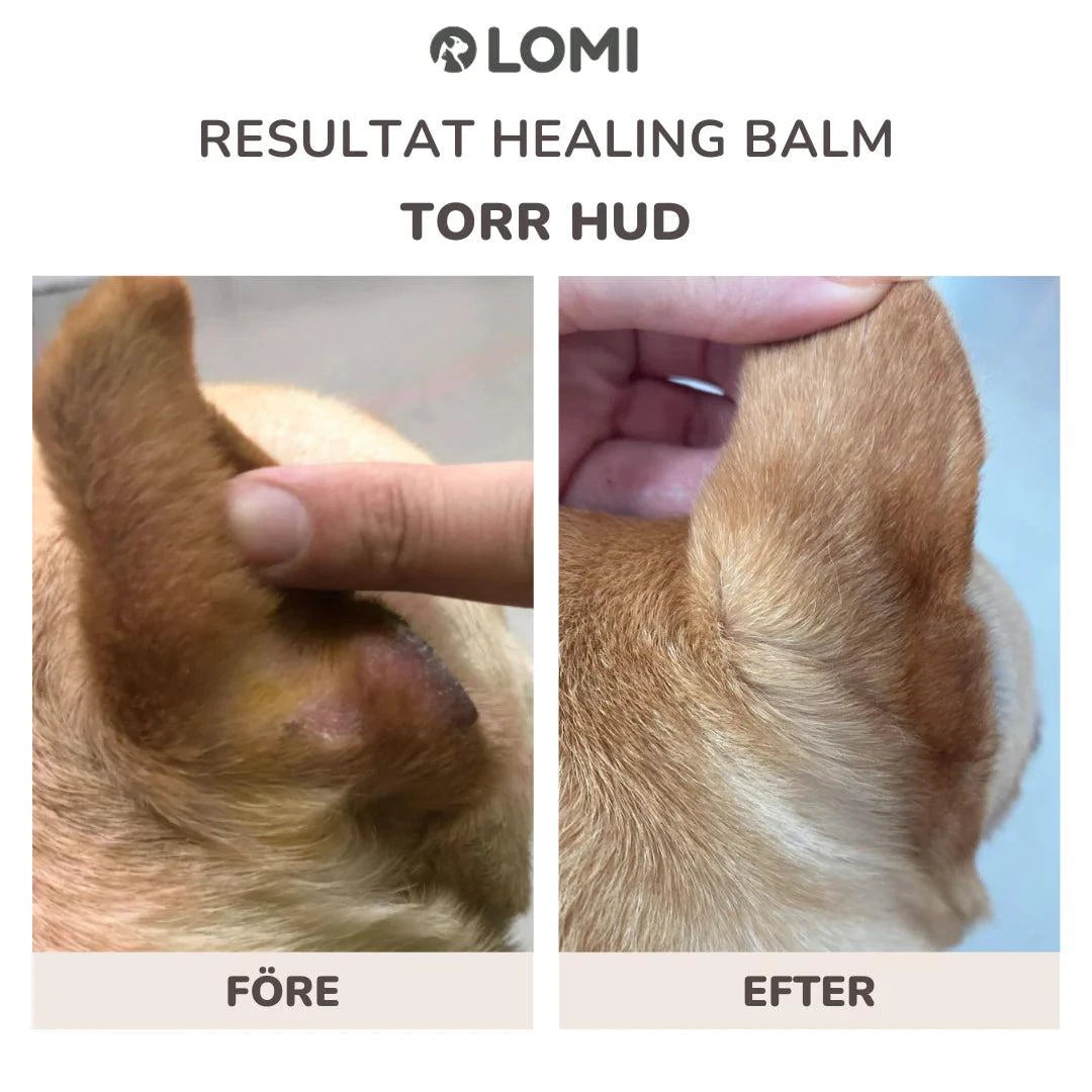 LOMI Tassalva för hund och katt av naturliga ingredienser, 60ml