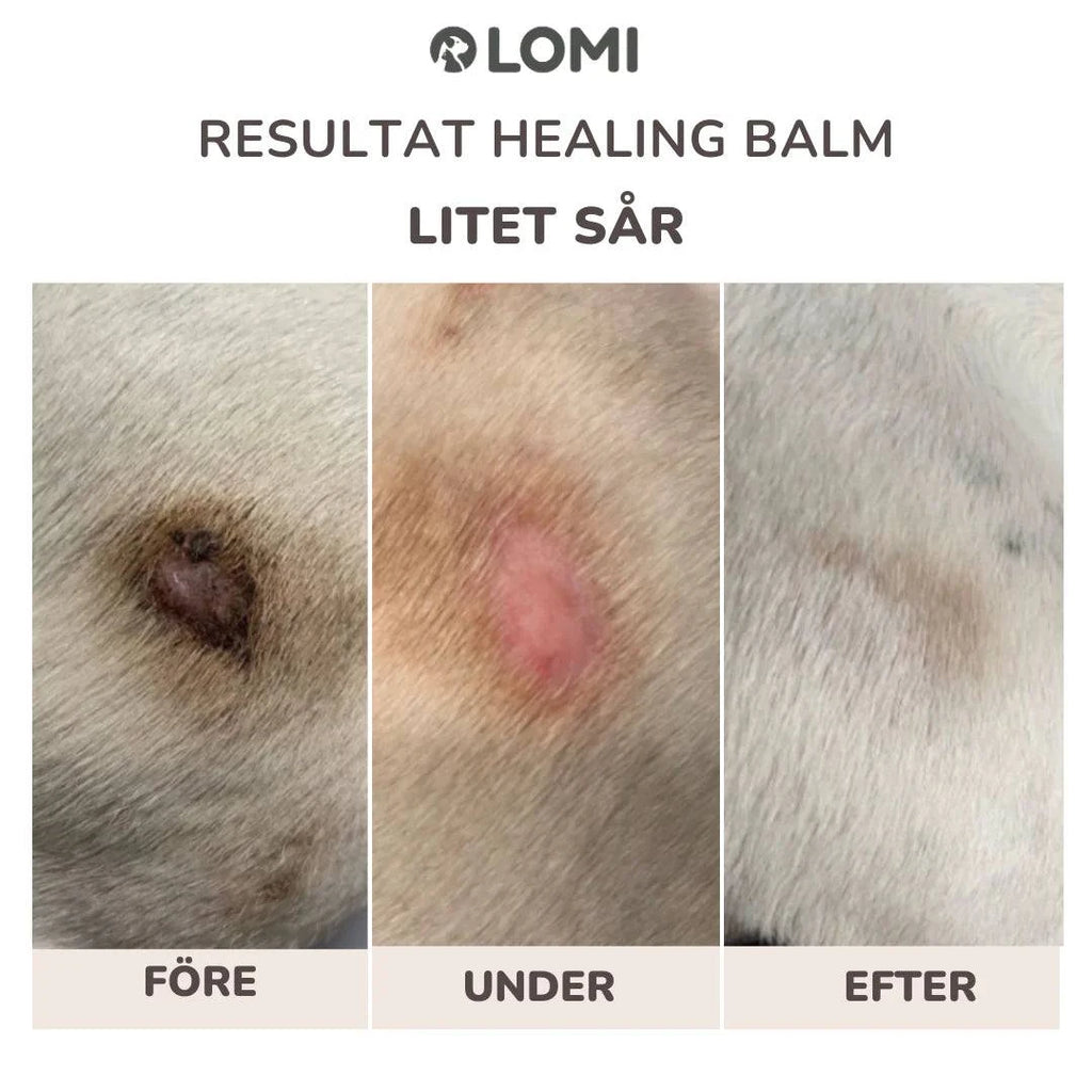 LOMI Tassalva för hund och katt av naturliga ingredienser, 60ml