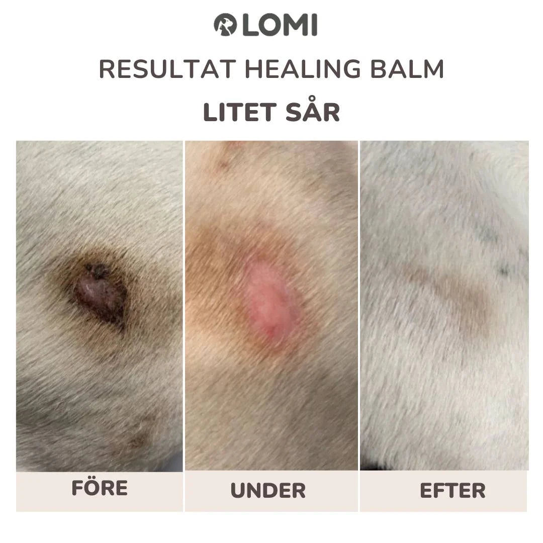LOMI Tassalva för hund och katt av naturliga ingredienser, 60ml