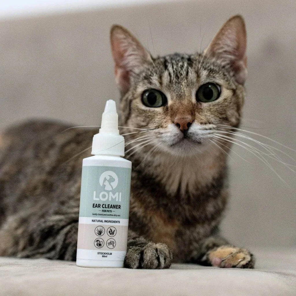 Naturlig öronrengöring för hund och katt