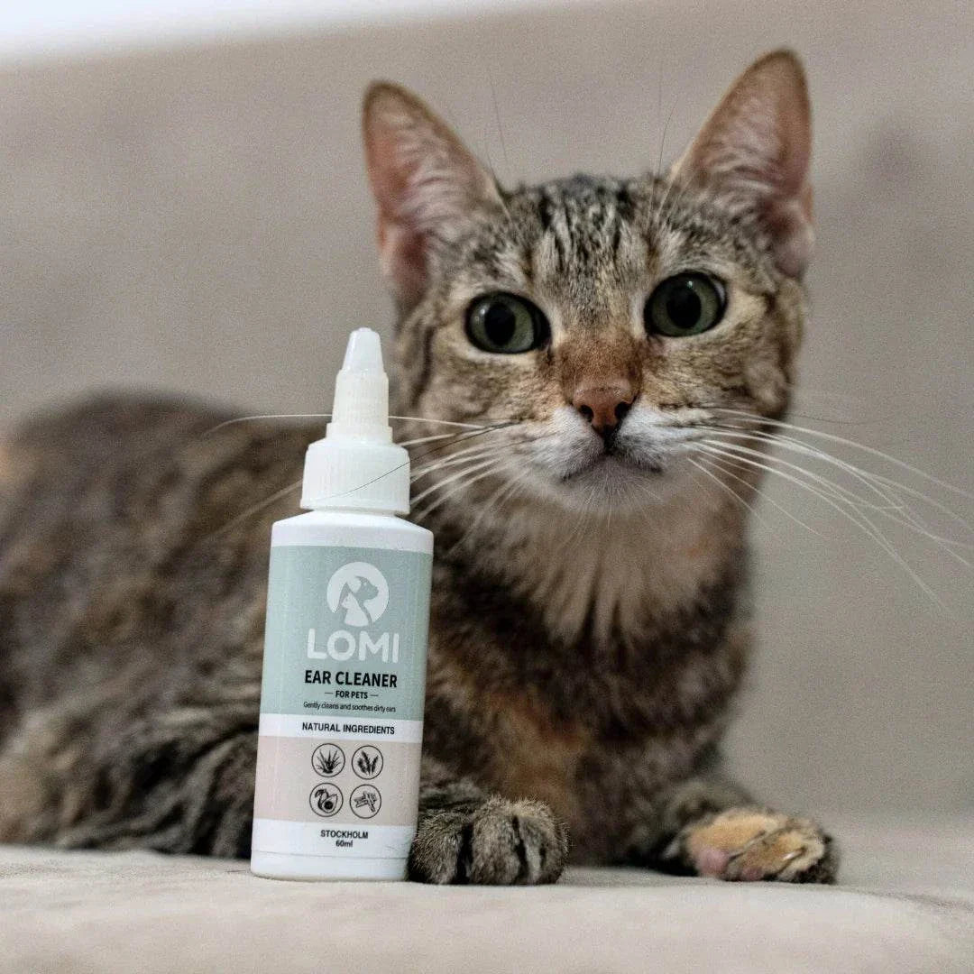Naturlig öronrengöring för hund och katt