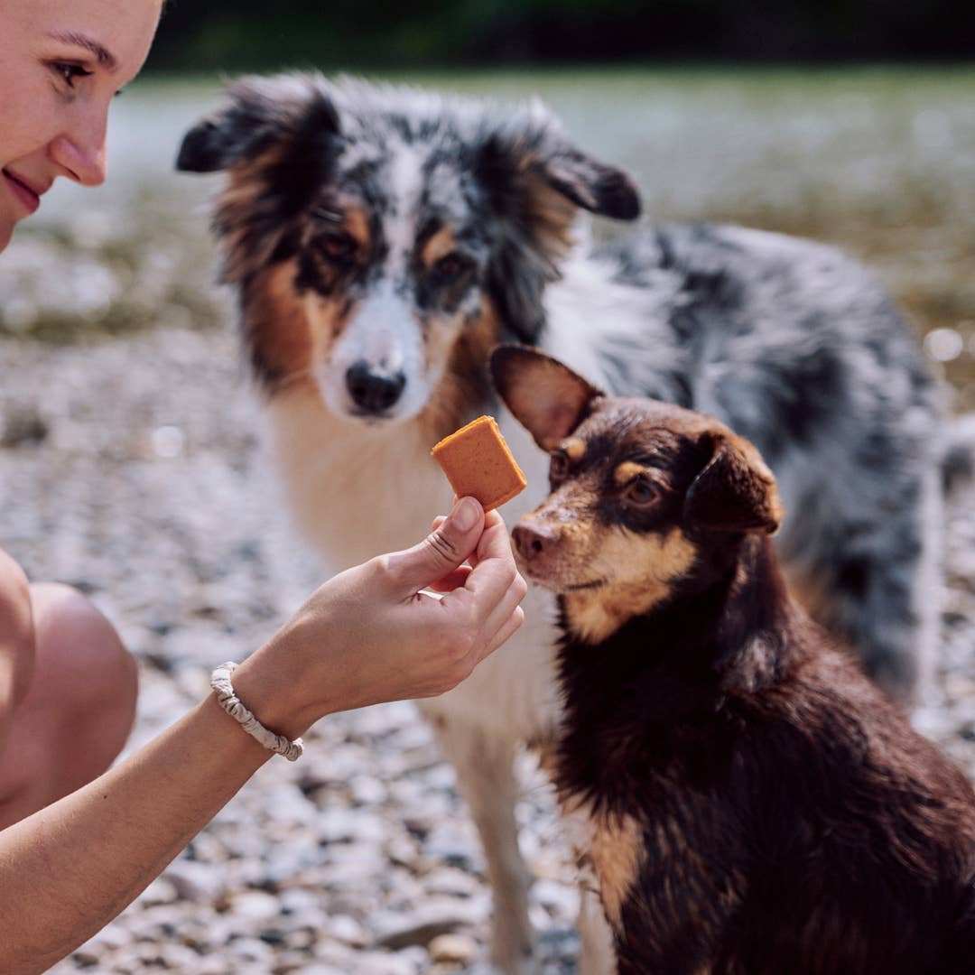 Hundgodis VEGDOG Jerkeys