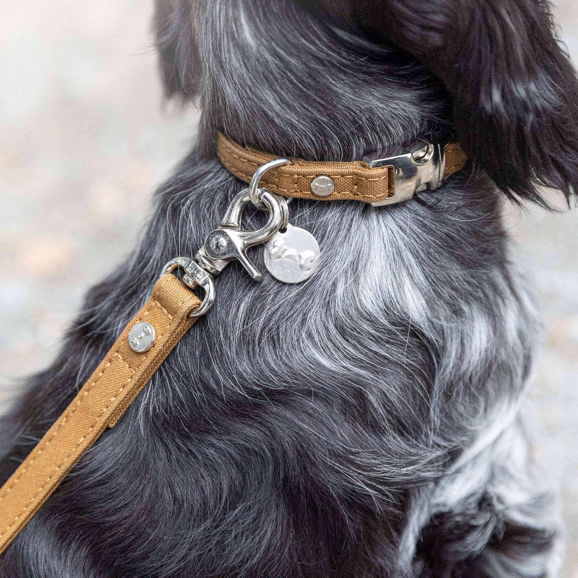 Justerbart hundkoppel stilren design