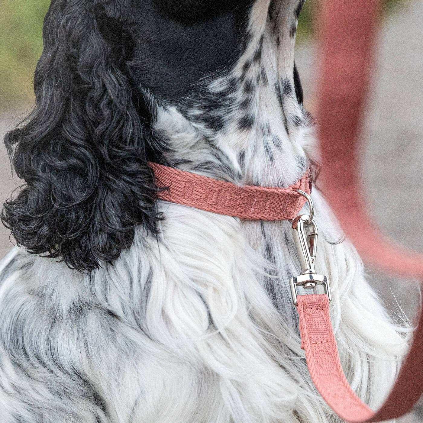Denjo Dogs Hundhalsband Pale Red